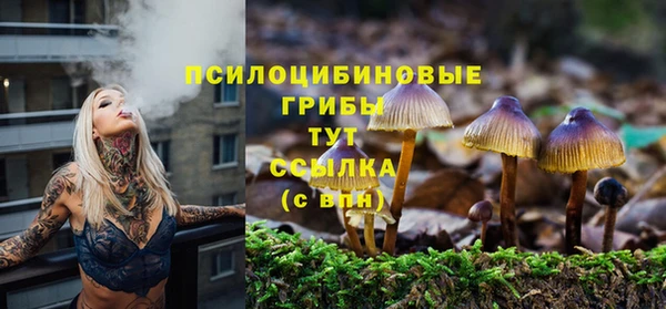 трава Аркадак