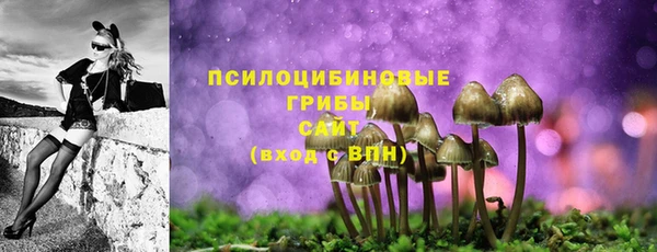 хмурый Арсеньев