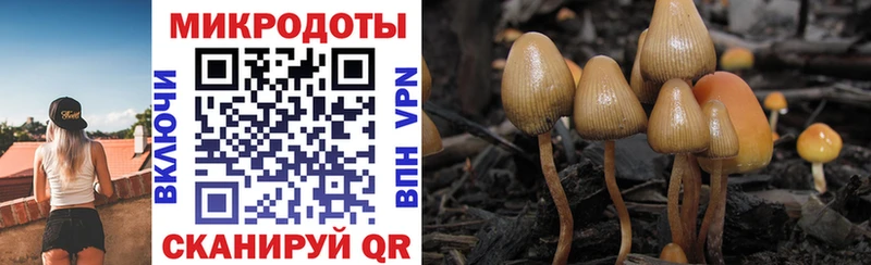 Псилоцибиновые грибы мицелий  Протвино 